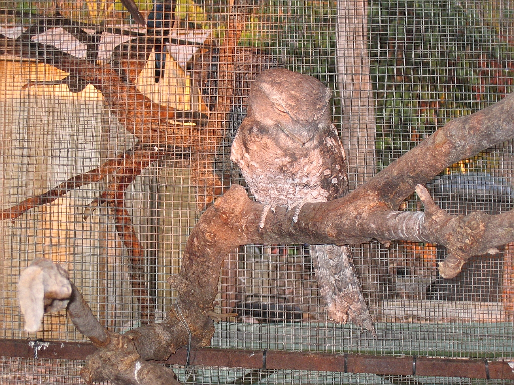 CairnsTC151 Granite Gorge.jpg